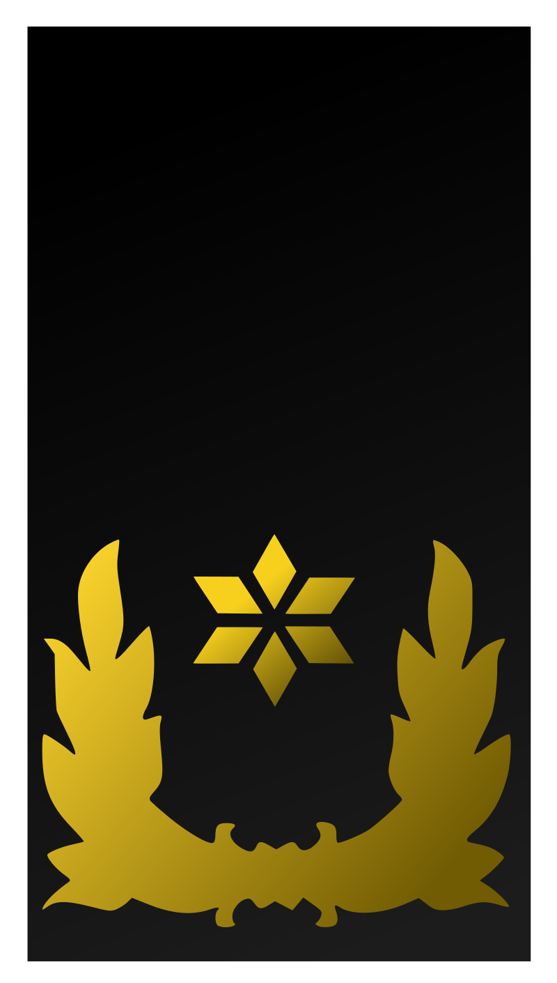 Brigadier General insignia